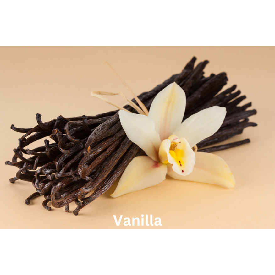 Seductive Spice | Natural Perfume Oil