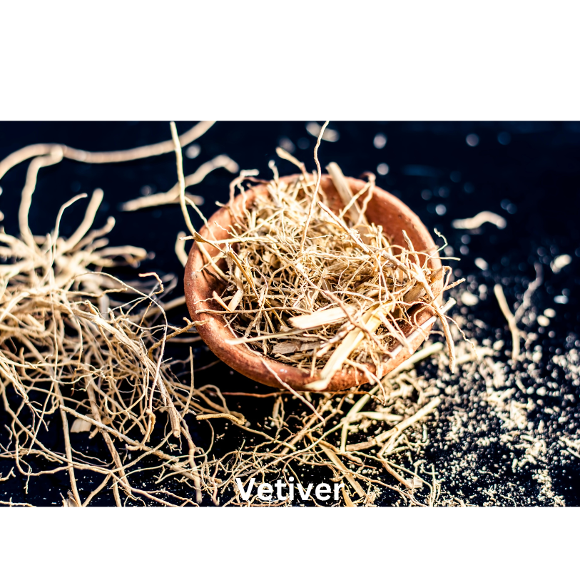 Timeless Elegance | Natural Perfume EDP