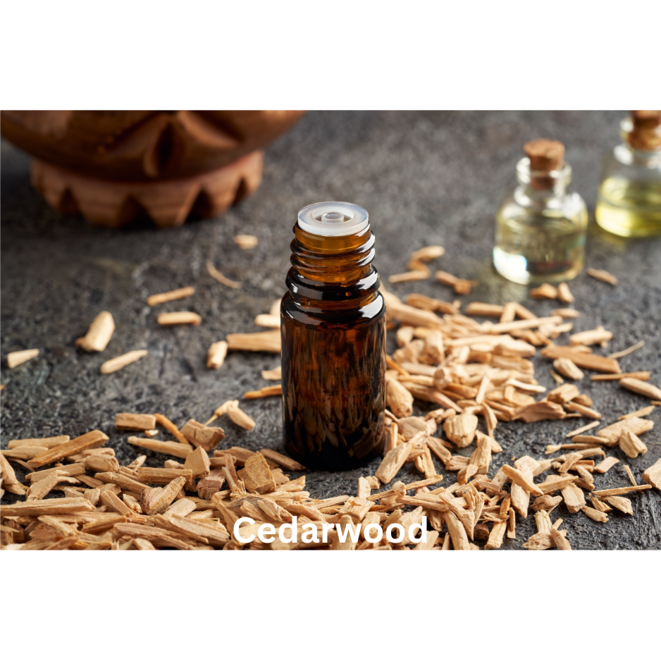 Royal Oud Cologne | Natural Perfume Oil